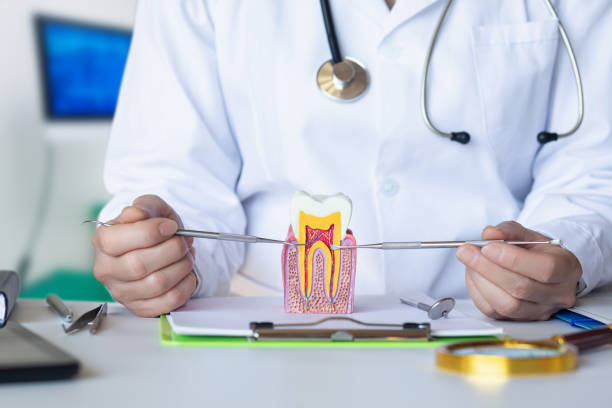 Best Emergency Root Canal Treatment in Advae, NC